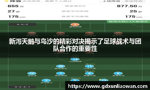新泻天鹅与鸟沙的精彩对决揭示了足球战术与团队合作的重要性